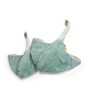 Manta Raya PequeñaTout Autour du Monde