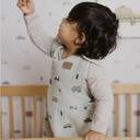 Pehr Sleep Bag 1.7 TOG (9-18 M) - Rush Hour