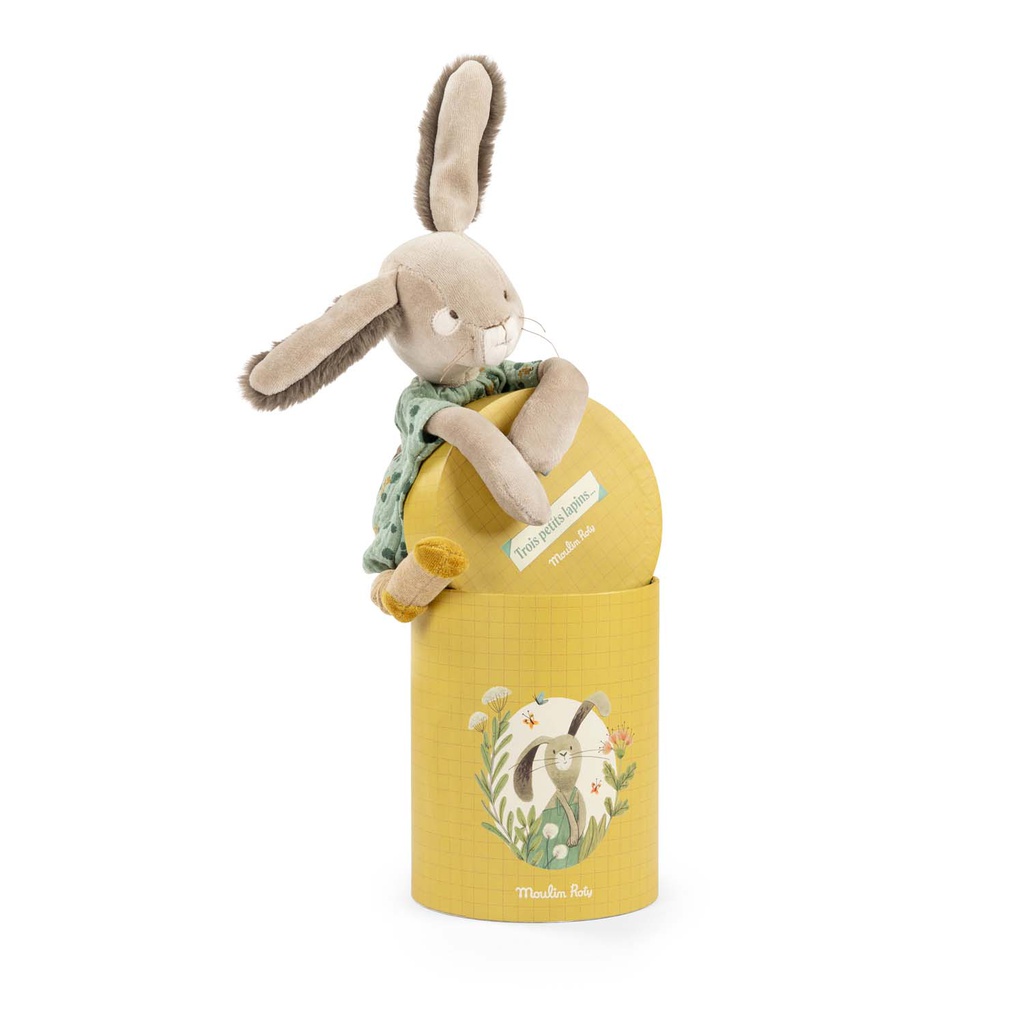 The Rabbit In Box Sage - Trois Petits Lapins