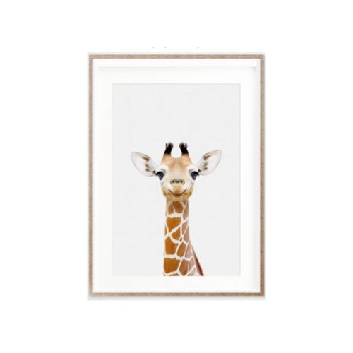 Cuadro Jirafa